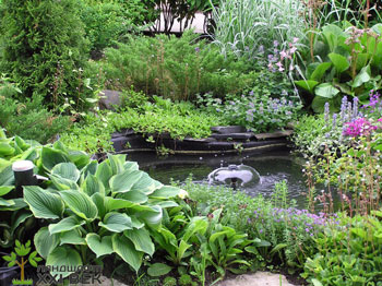 ландшафт сада